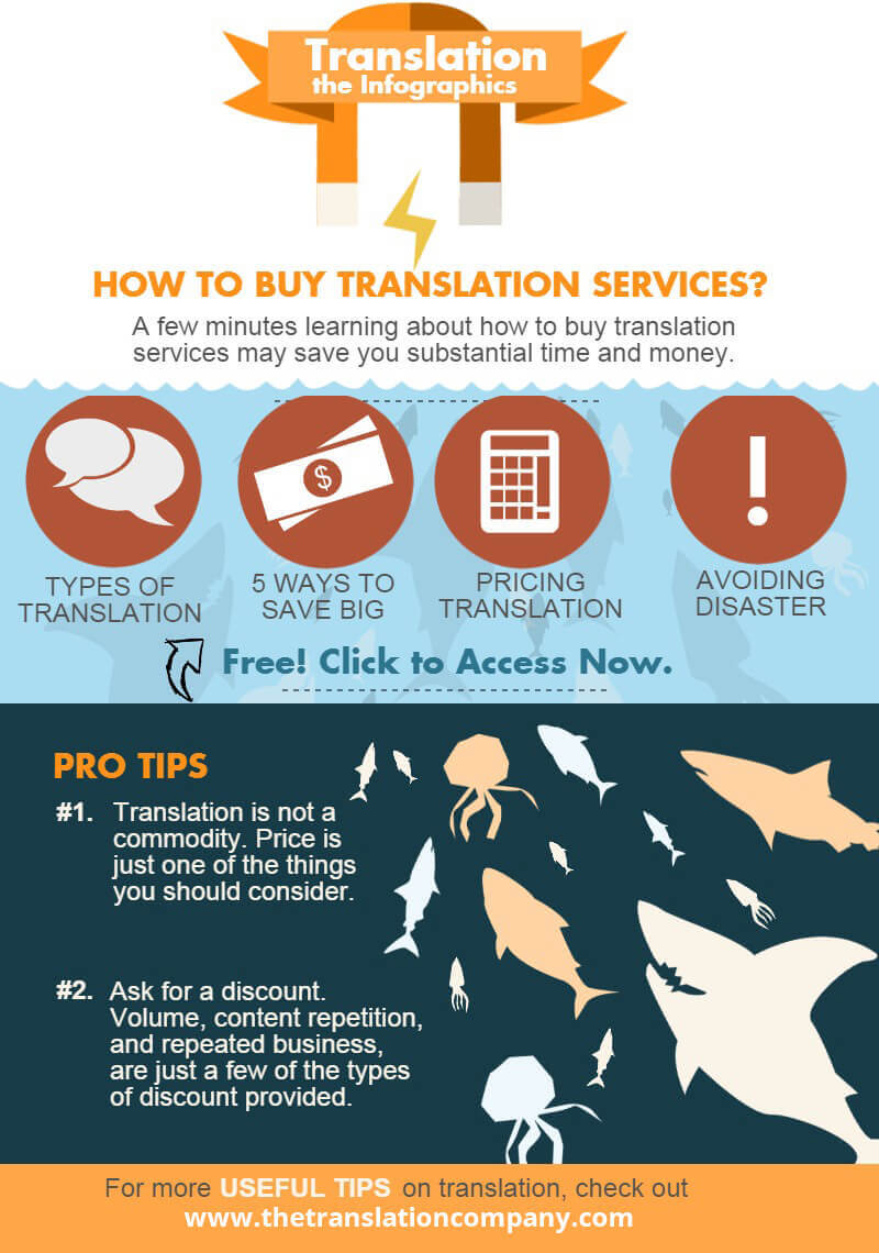 Infographics - 5 Facts You Should Know Before Buying Translation