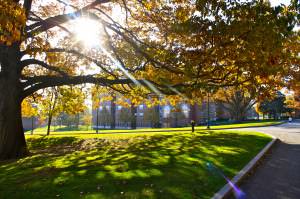 dreamstime l 28722426 Campus