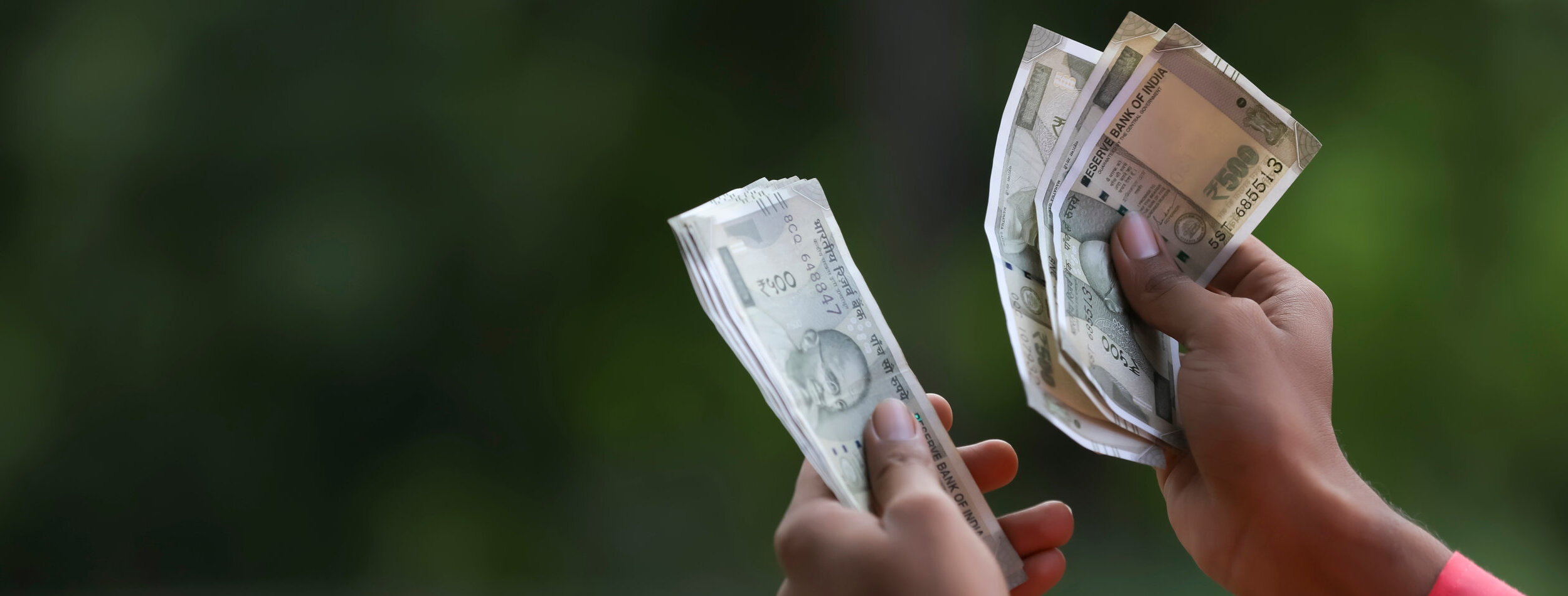 Young indian farmer counting money