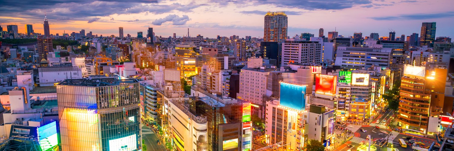 Japanese CIty Skyline