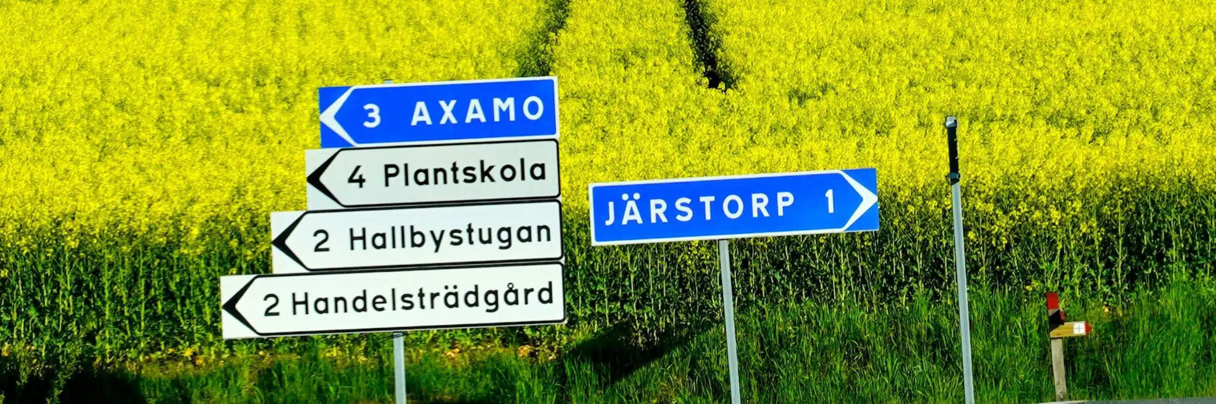 swedish translation services swedish translation services