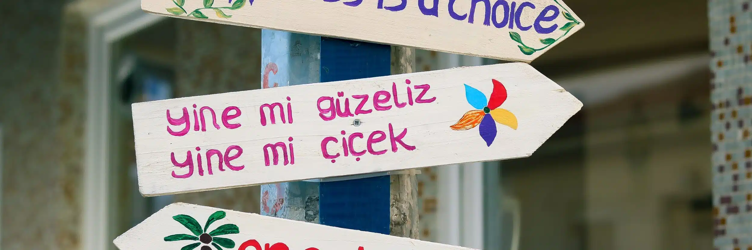 turkish translation services